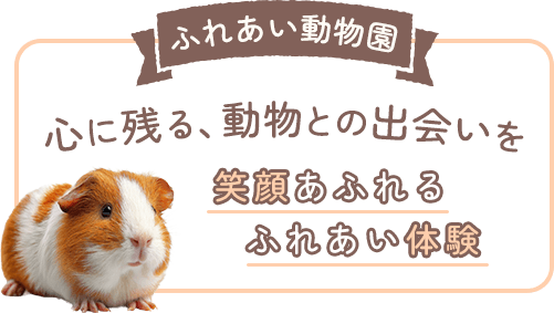 抱っこや餌やりを体験