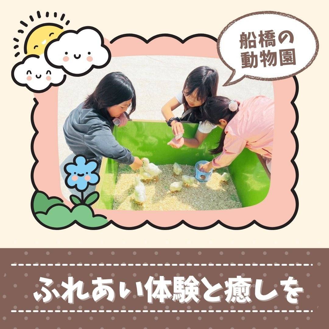 popup_banner