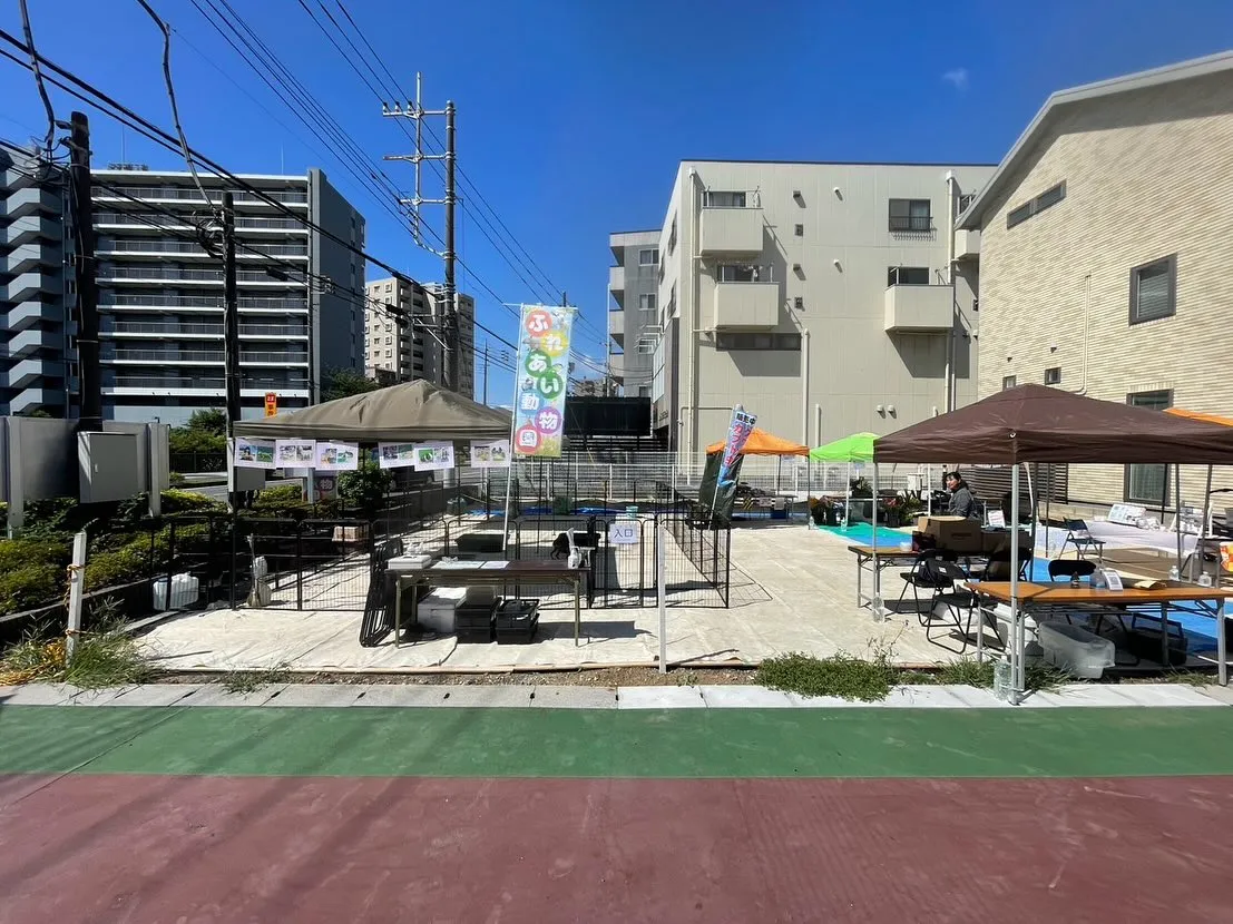 🌴本日開催！ほっこりマルシェ🌺