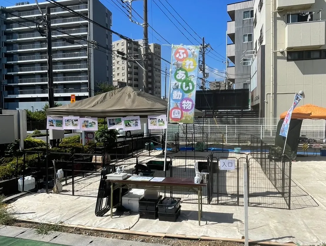 🌴本日開催！ほっこりマルシェ🌺