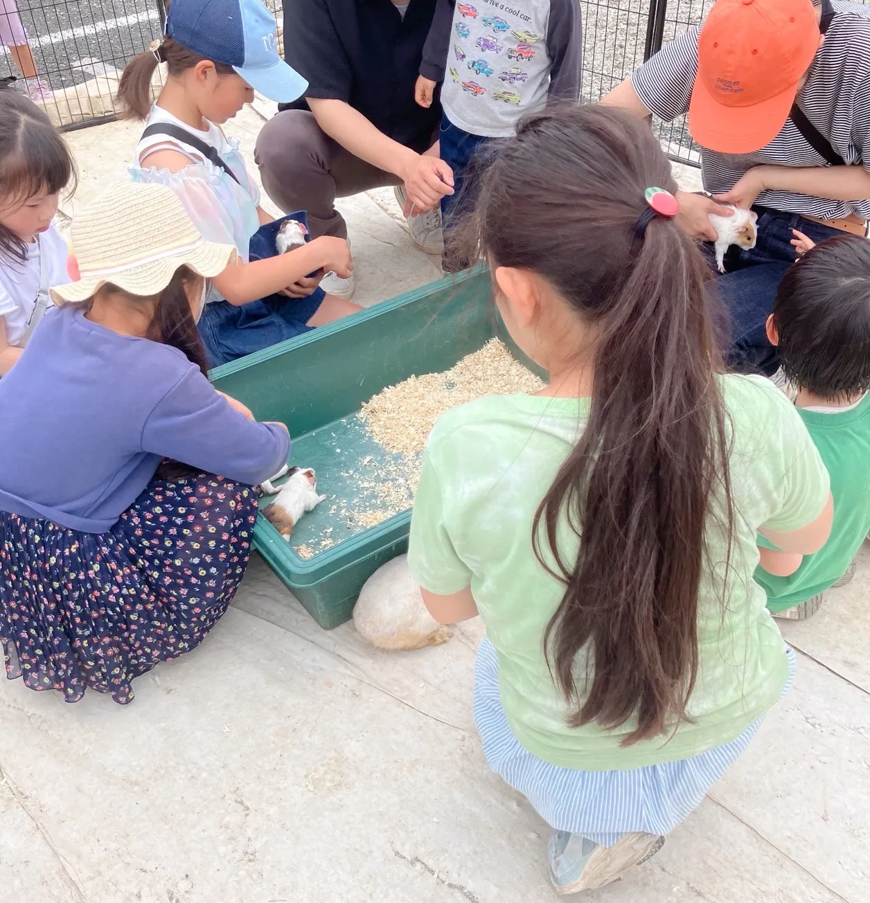 動物園で学ぶ千葉県船橋市の福祉と動物愛護の実践ポイント