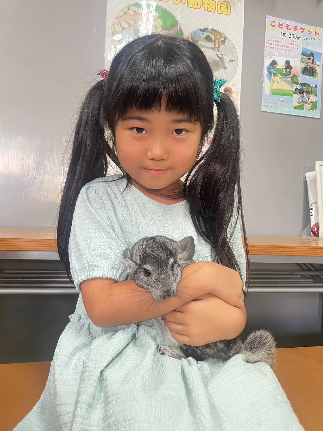 🐭チンチラ抱っこ🐭