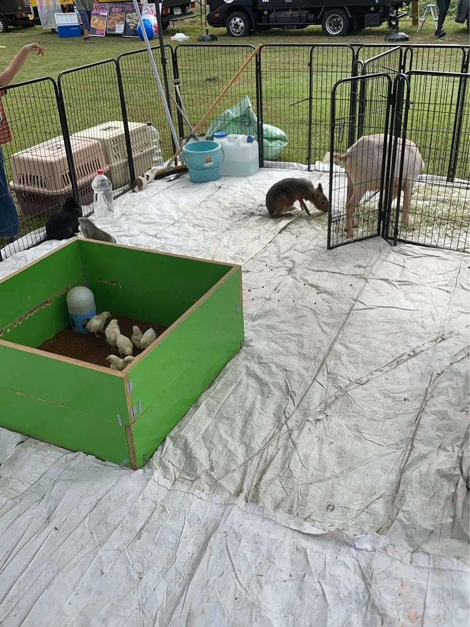 🐣木まぐれマルシェ開催中🐣