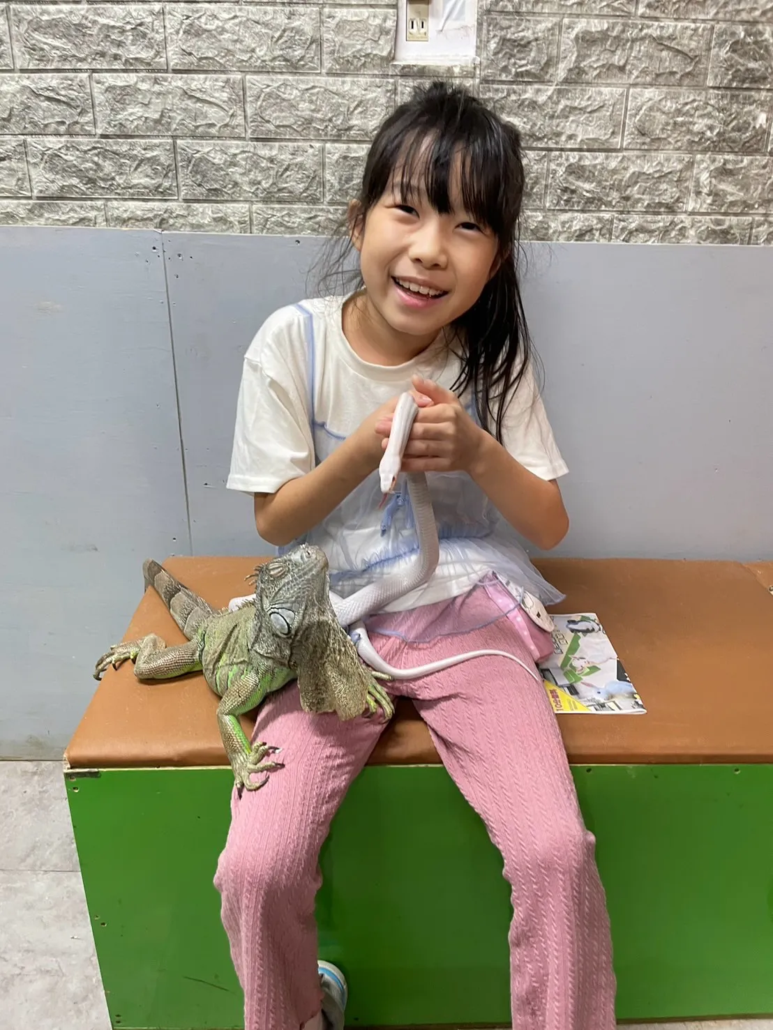 🦎いろんな子たちとふれあい体験🐰