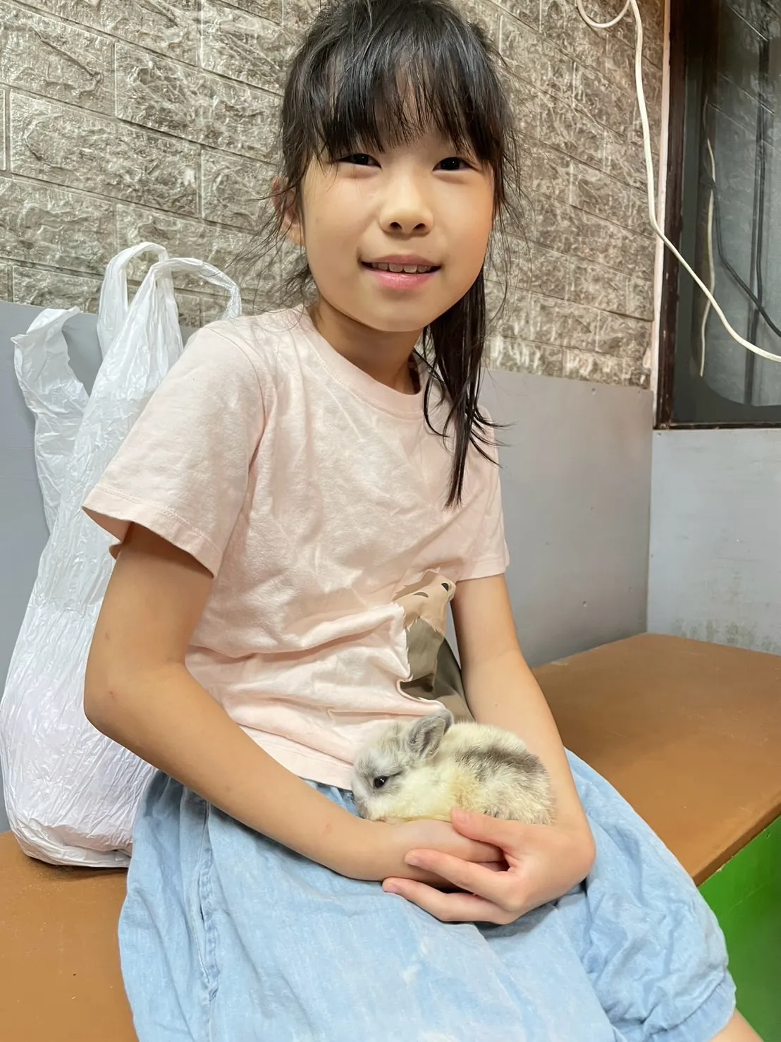 🦎いろんな子たちとふれあい体験🐰