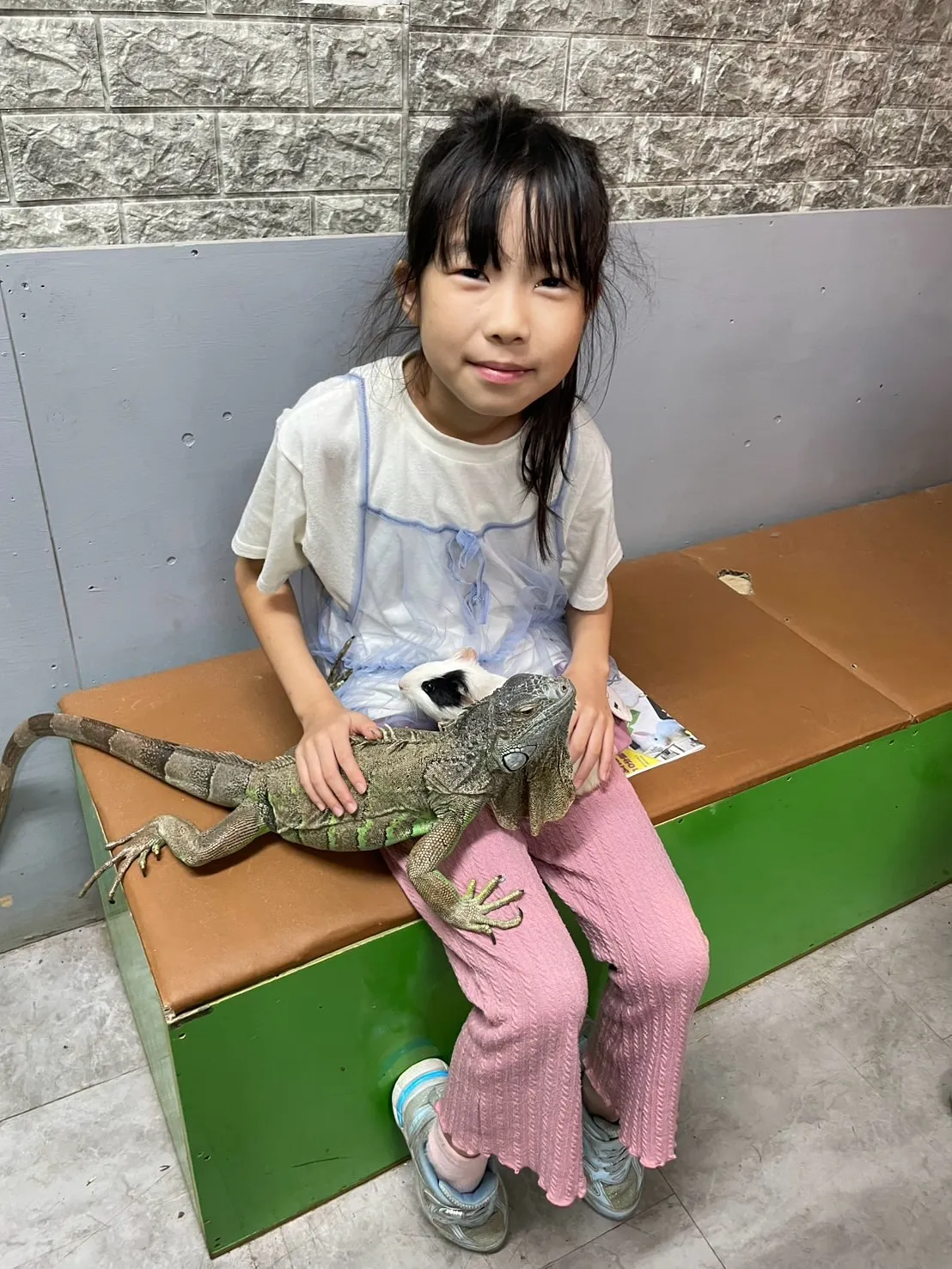 🦎いろんな子たちとふれあい体験🐰