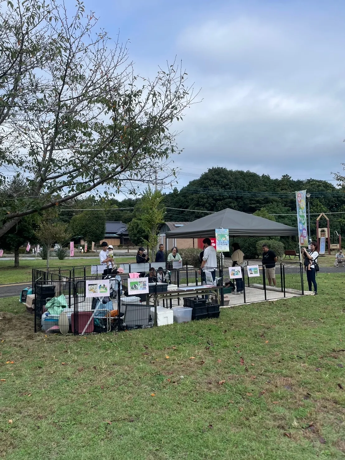 🌸本日開催 おしゃれ市場 in 白井総合公園🌸