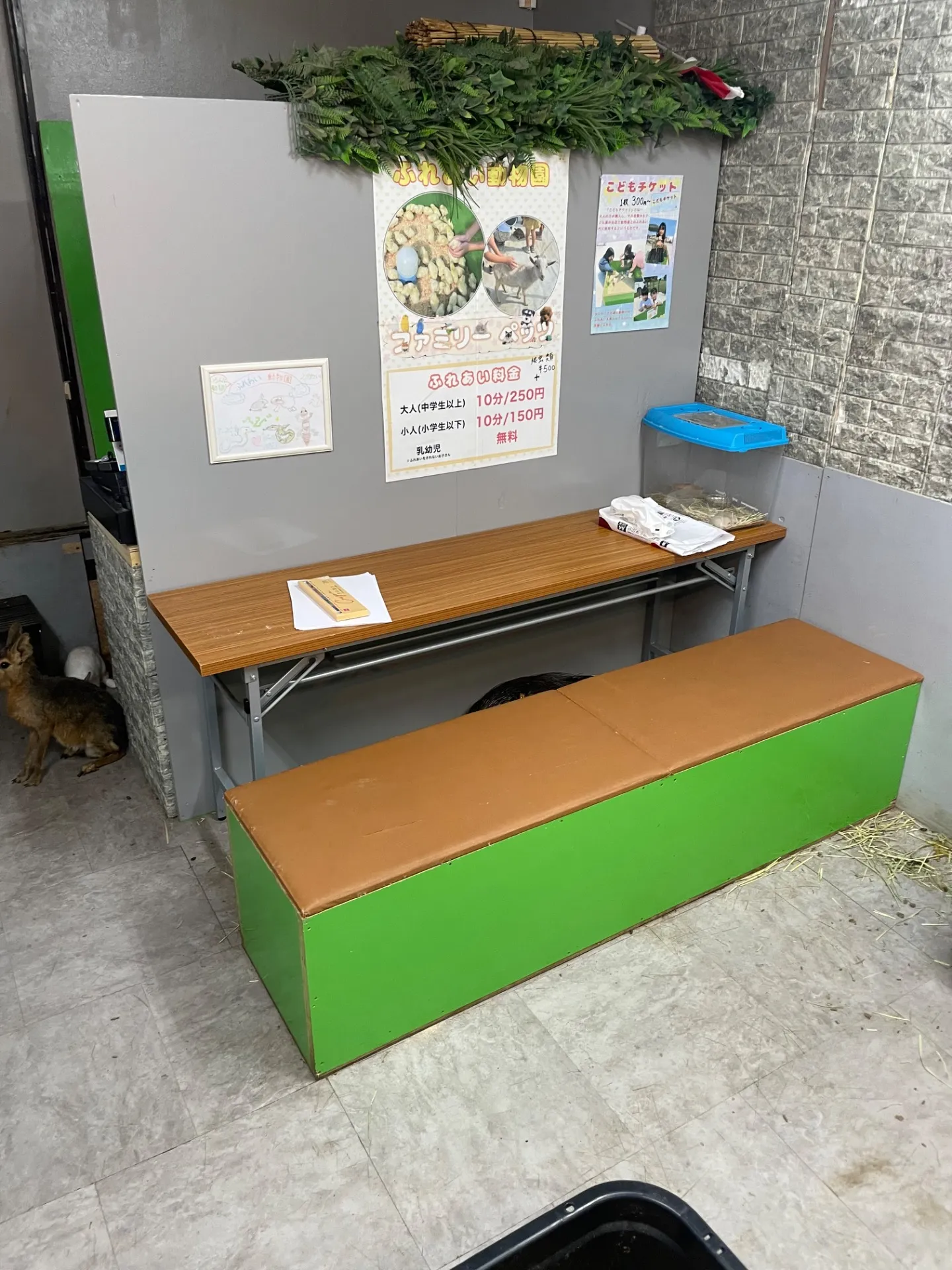 動物園を千葉県で室内に楽しむ雨の日におすすめの親子ふれあい体験