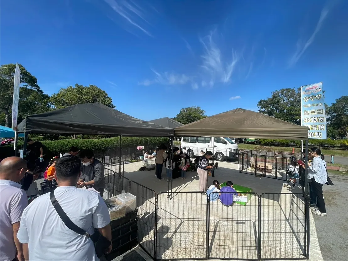 🌿房総フェスタ in 君津🌿