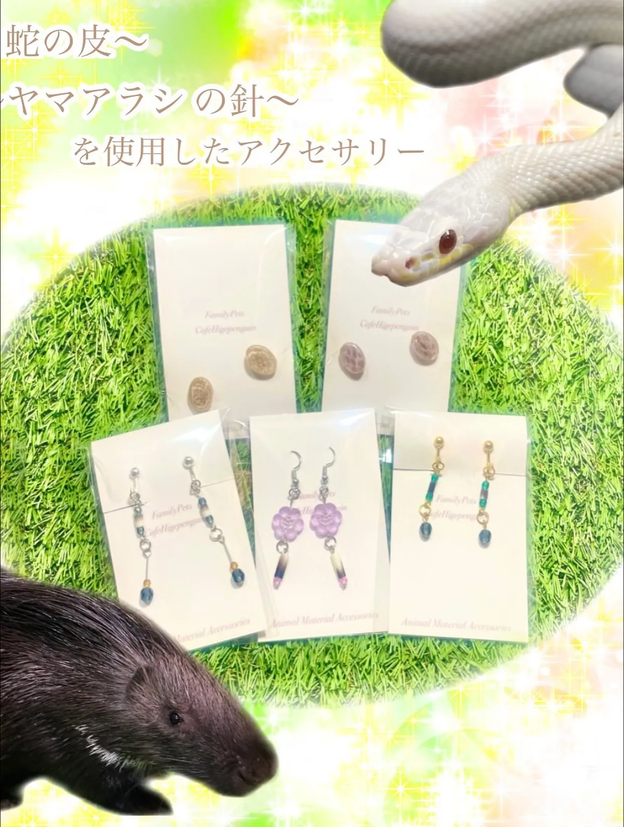 🎃板橋ハロウィンマルシェ🎃