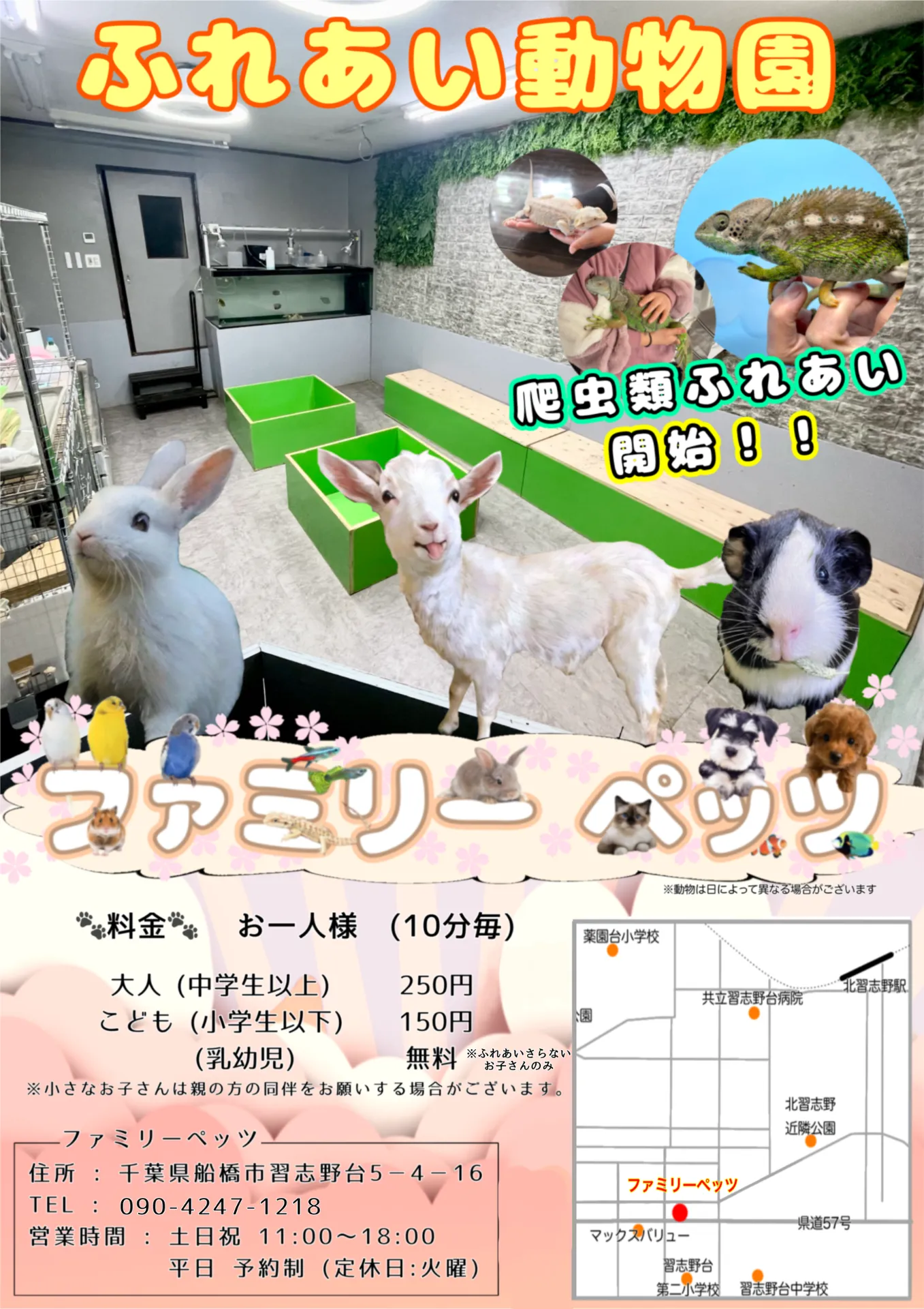 動物園で千葉県船橋市のおでかけを低予算で満喫する家族向けプラン