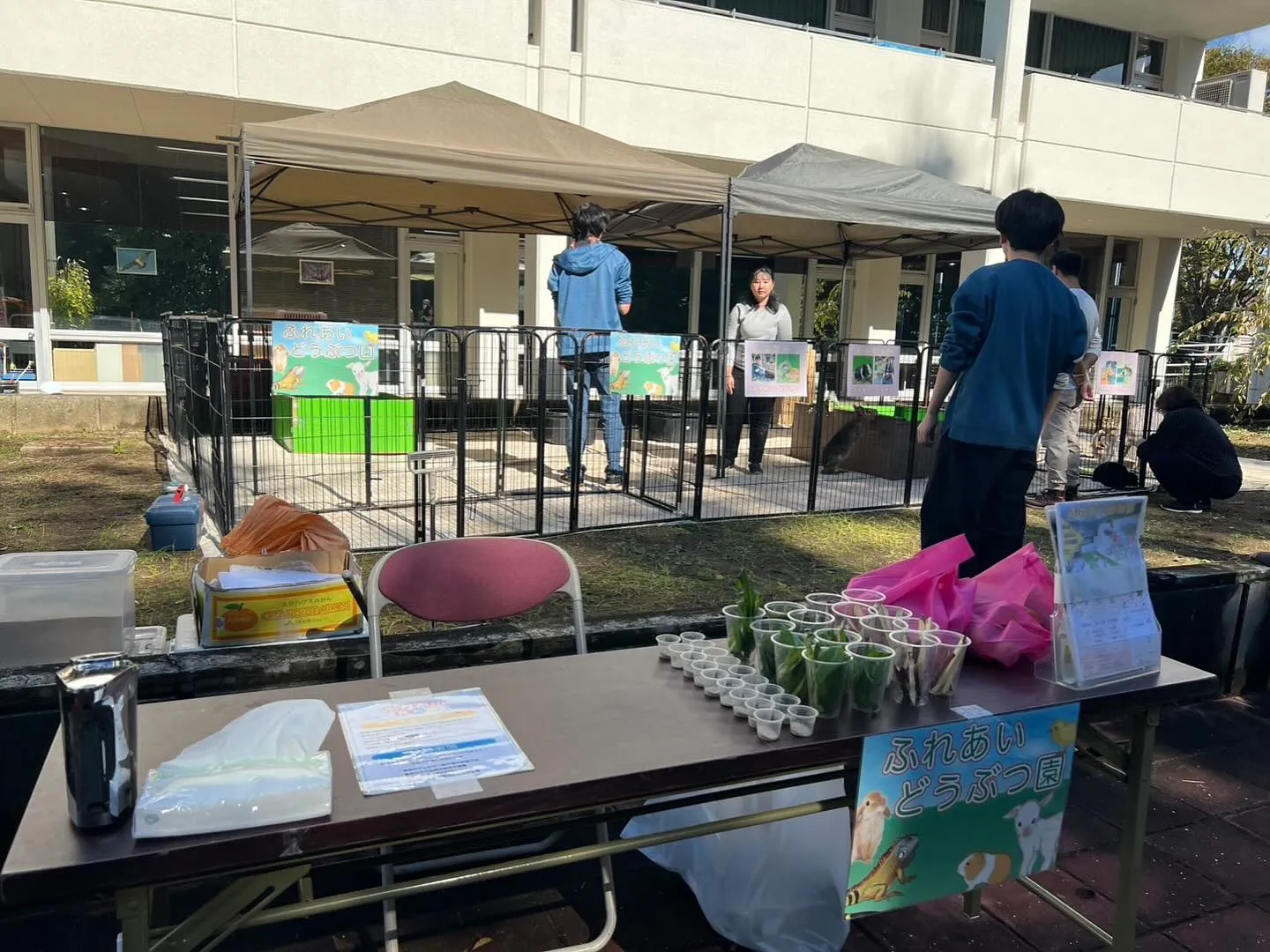 🐾ふれあい動物園 開催中🐾