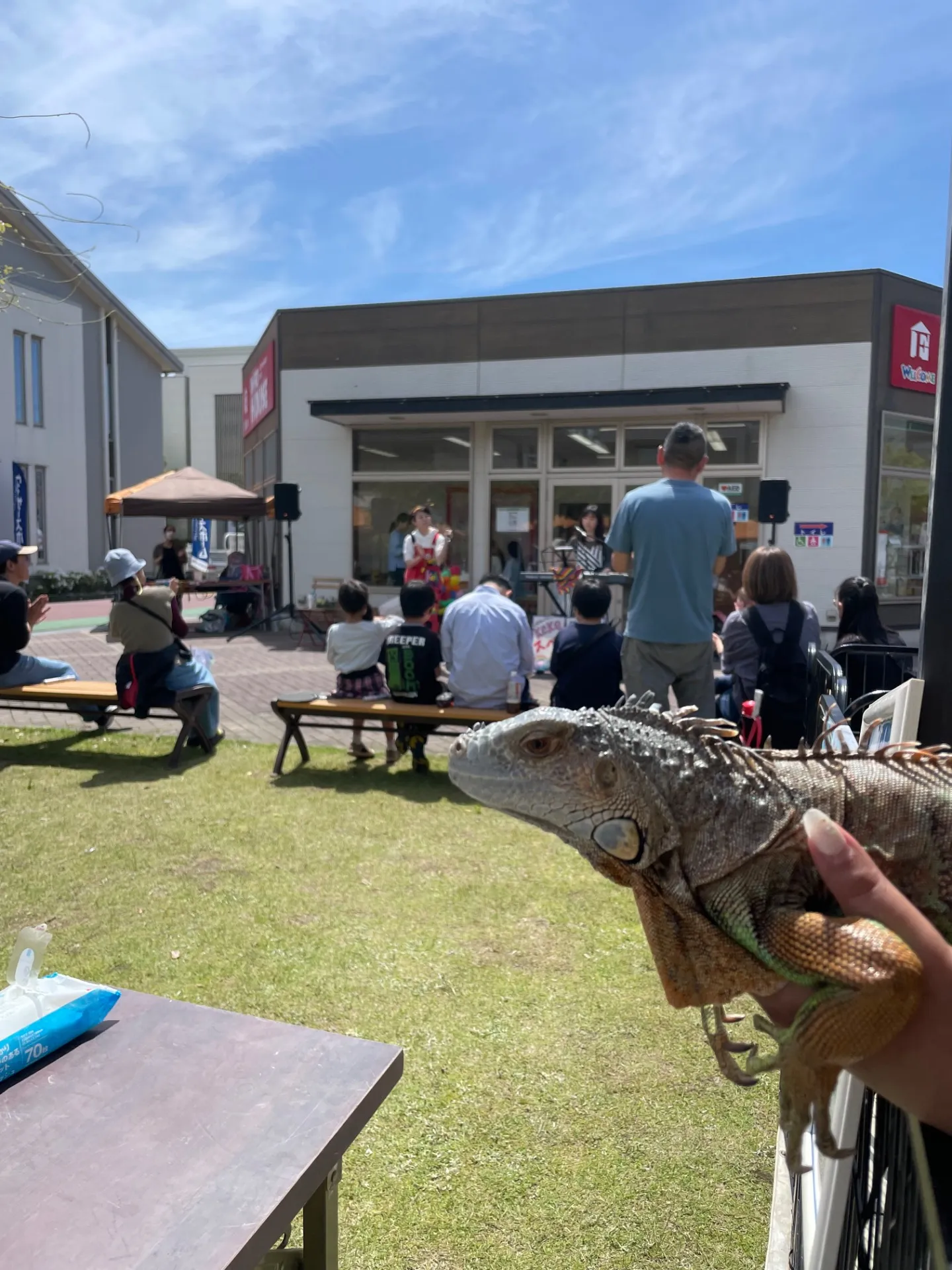 おでかけで千葉県を親子で満喫するための安全で楽しい遊び場ガイド
