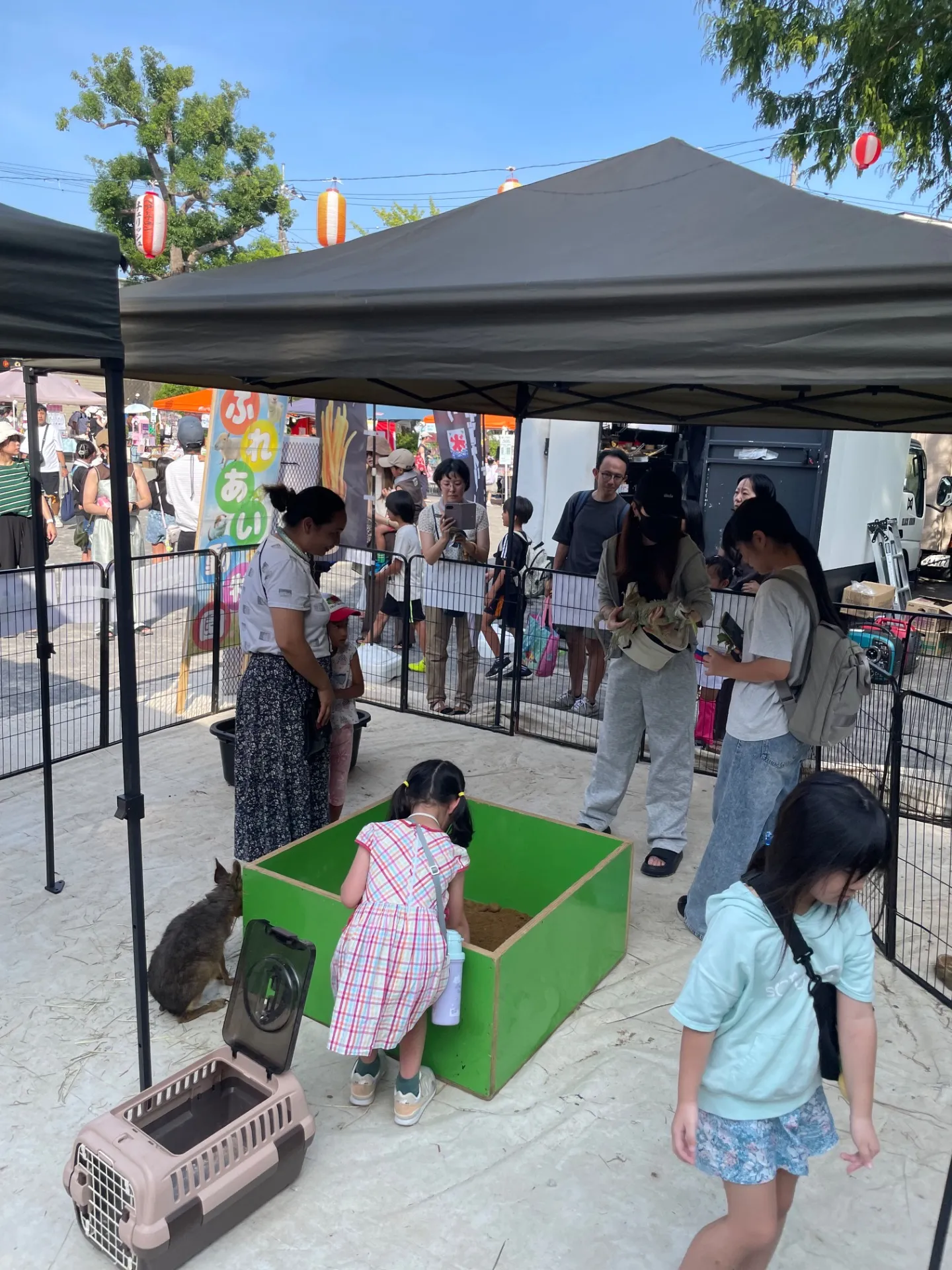 動物園で千葉県の平日を家族で満喫するための楽しみ方ガイド