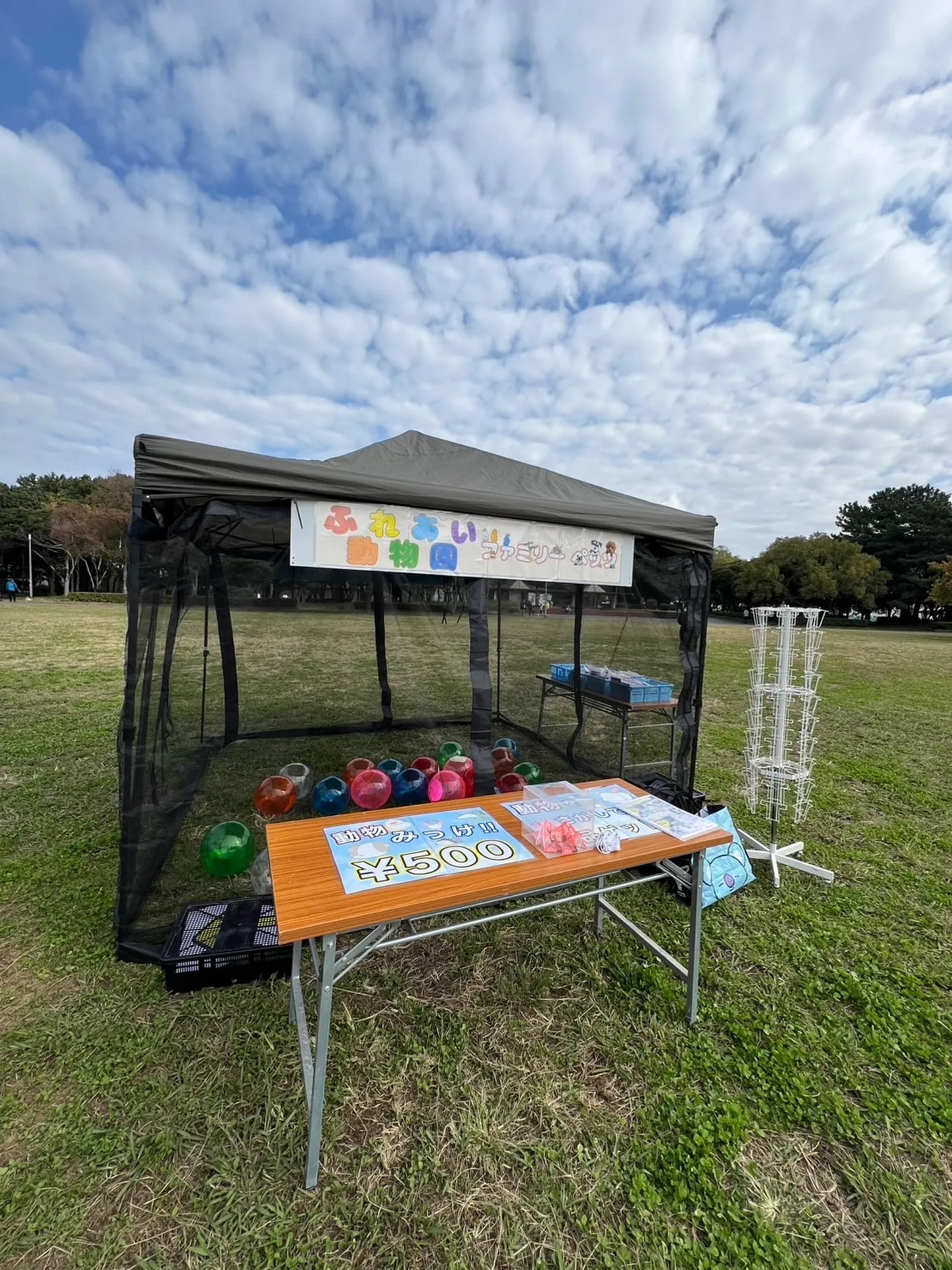 đăăă±ăăă«ă·ă§ in ćèăăŒăăăŒăŻđ