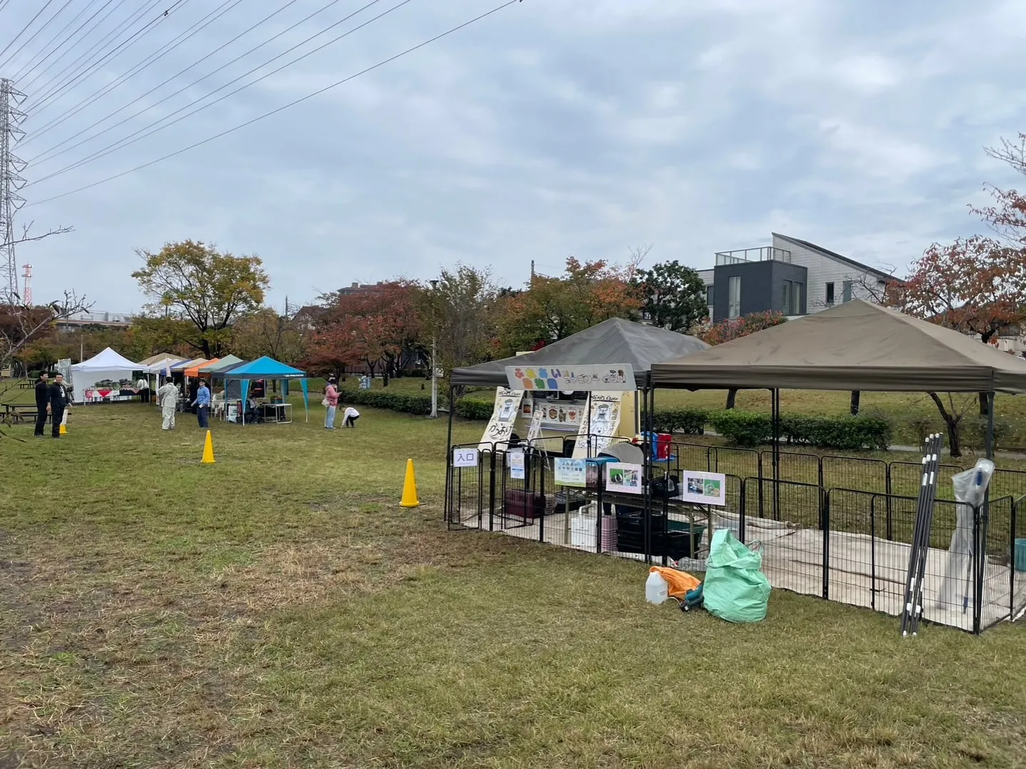 ๐งบ่ฑ่ฆๅทๅๆฌๆก็ทๅฐใใฏใใใฏใใซใทใง๐งบ