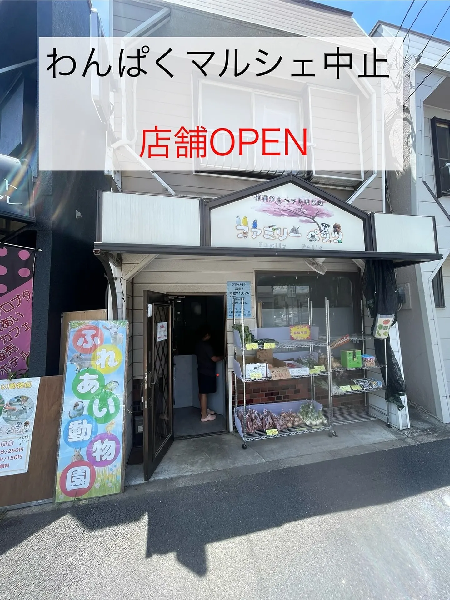 đ€ïžăăă±ăăă«ă·ă§ăăăăżăźăç„ăăđŸ