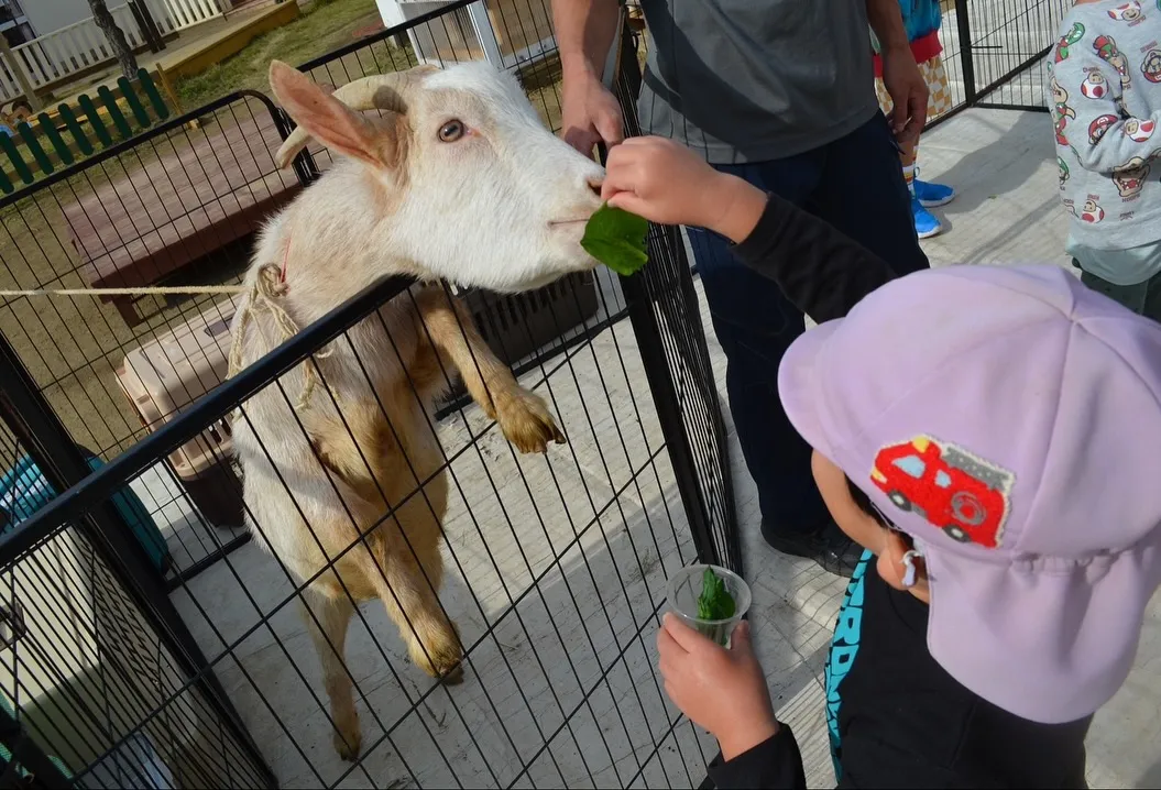 🪻幼稚園（保育園）でのふれあい🪻