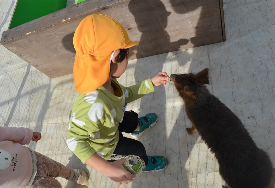 🪻幼稚園（保育園）でのふれあい🪻