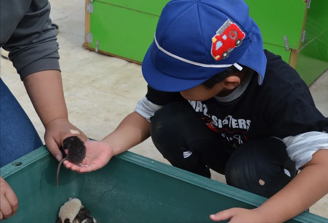 🪻幼稚園（保育園）でのふれあい🪻