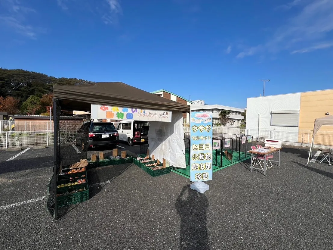 🌼夏見の朝市 出店しています🌼