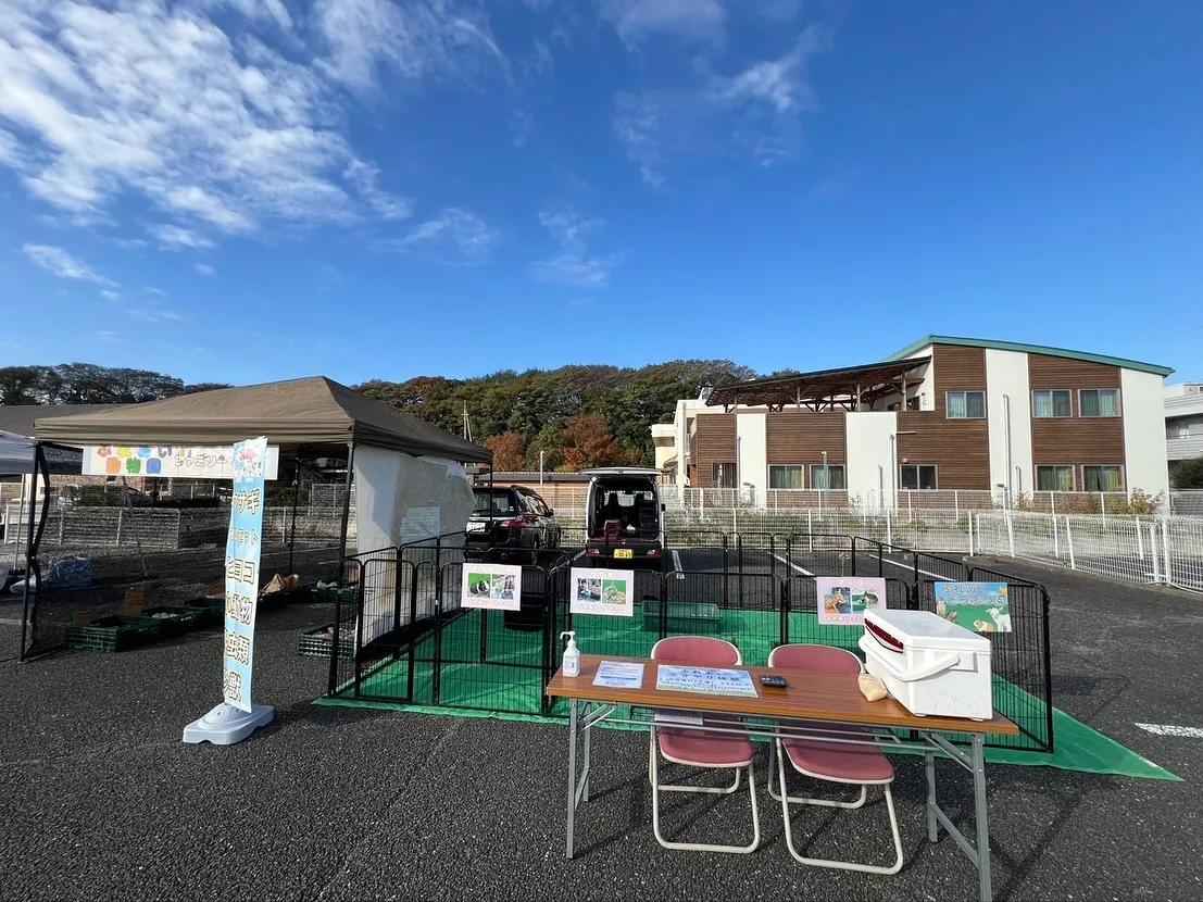 🌼夏見の朝市 出店しています🌼