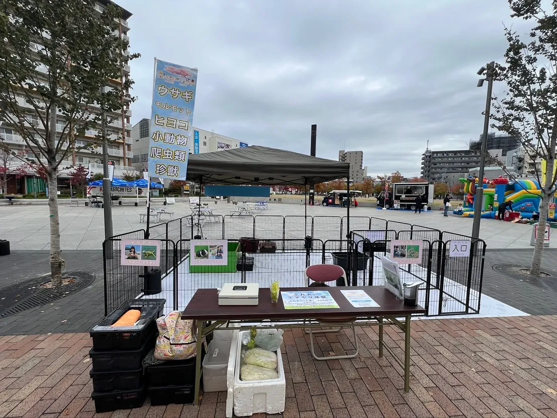 🎸川口フェス 出店しています🎉