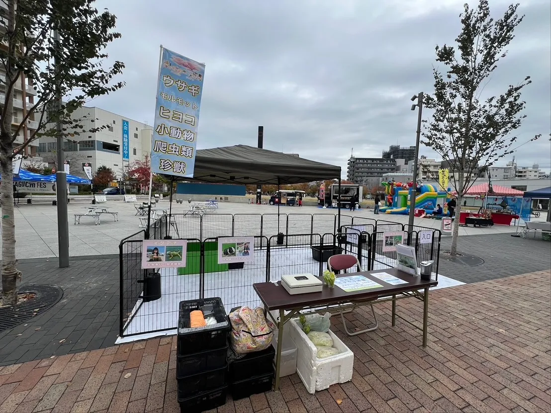 🎸川口フェス 出店しています🎉