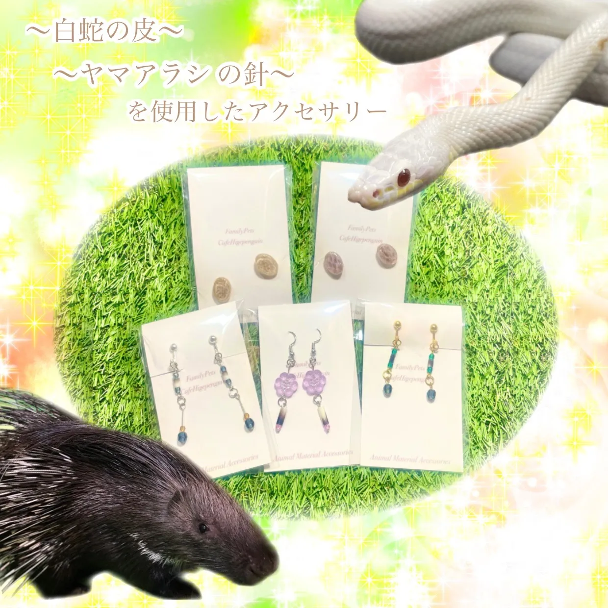 動物園と千葉県船橋市のマルシェで家族の思い出づくり体験を提案