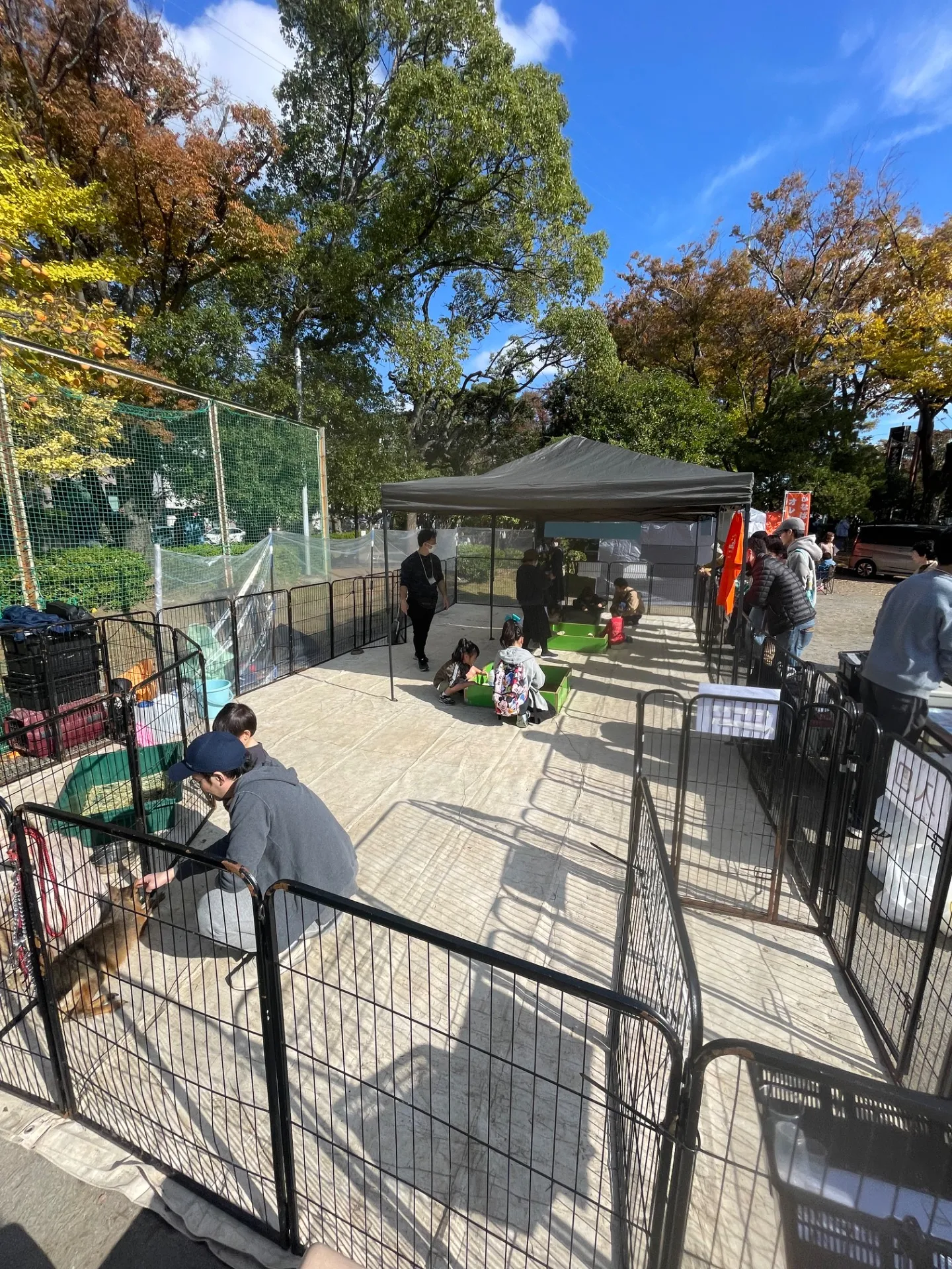 動物との特別な体験を千葉県の出張サービスで実現する方法