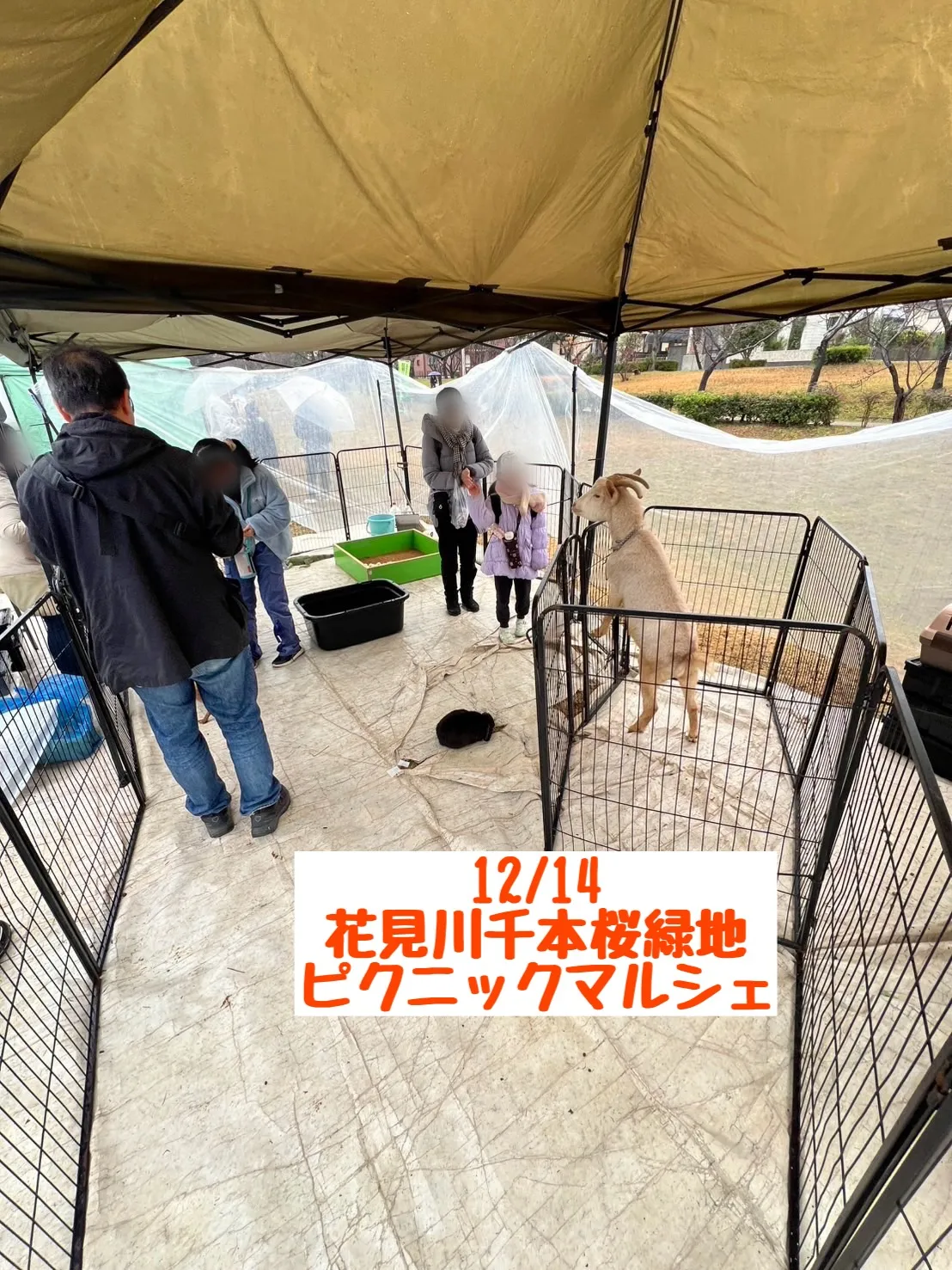 🌸 花見川千本桜緑地ピクニックマルシェ 🌸