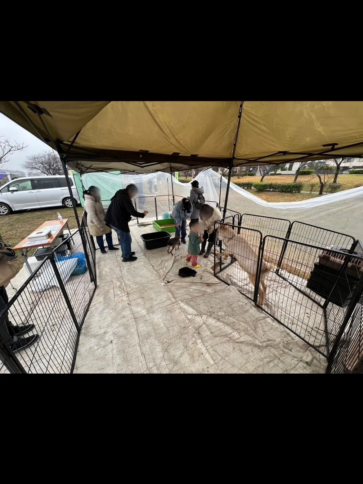 🌸 花見川千本桜緑地ピクニックマルシェ 🌸