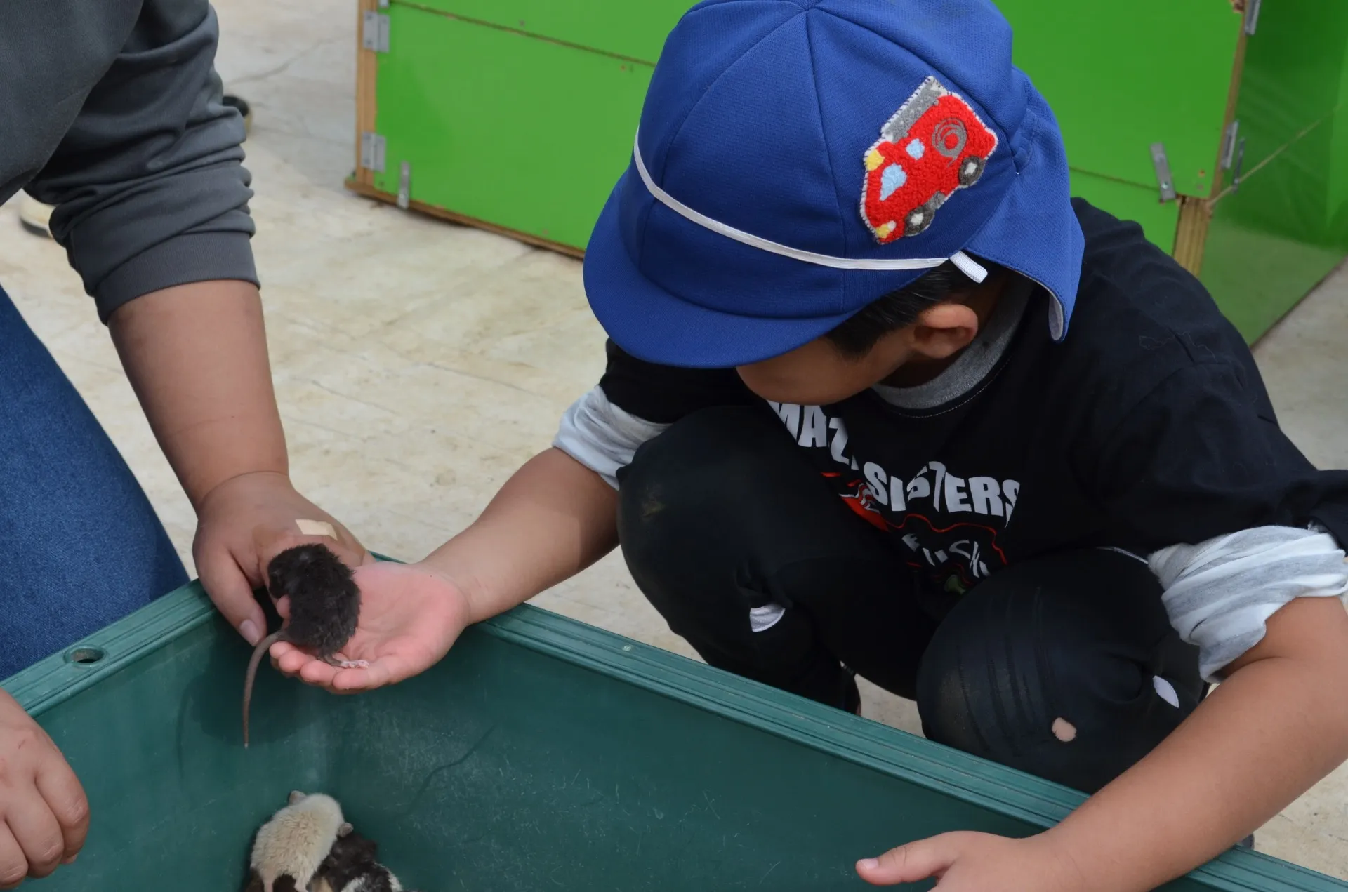 動物と千葉県で幼児が楽しむふれあい体験と雨の日も安心スポット徹底解説