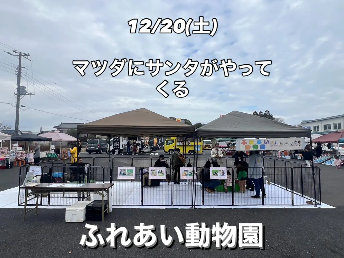 🎅マツダにサンタがやってくる 🚗