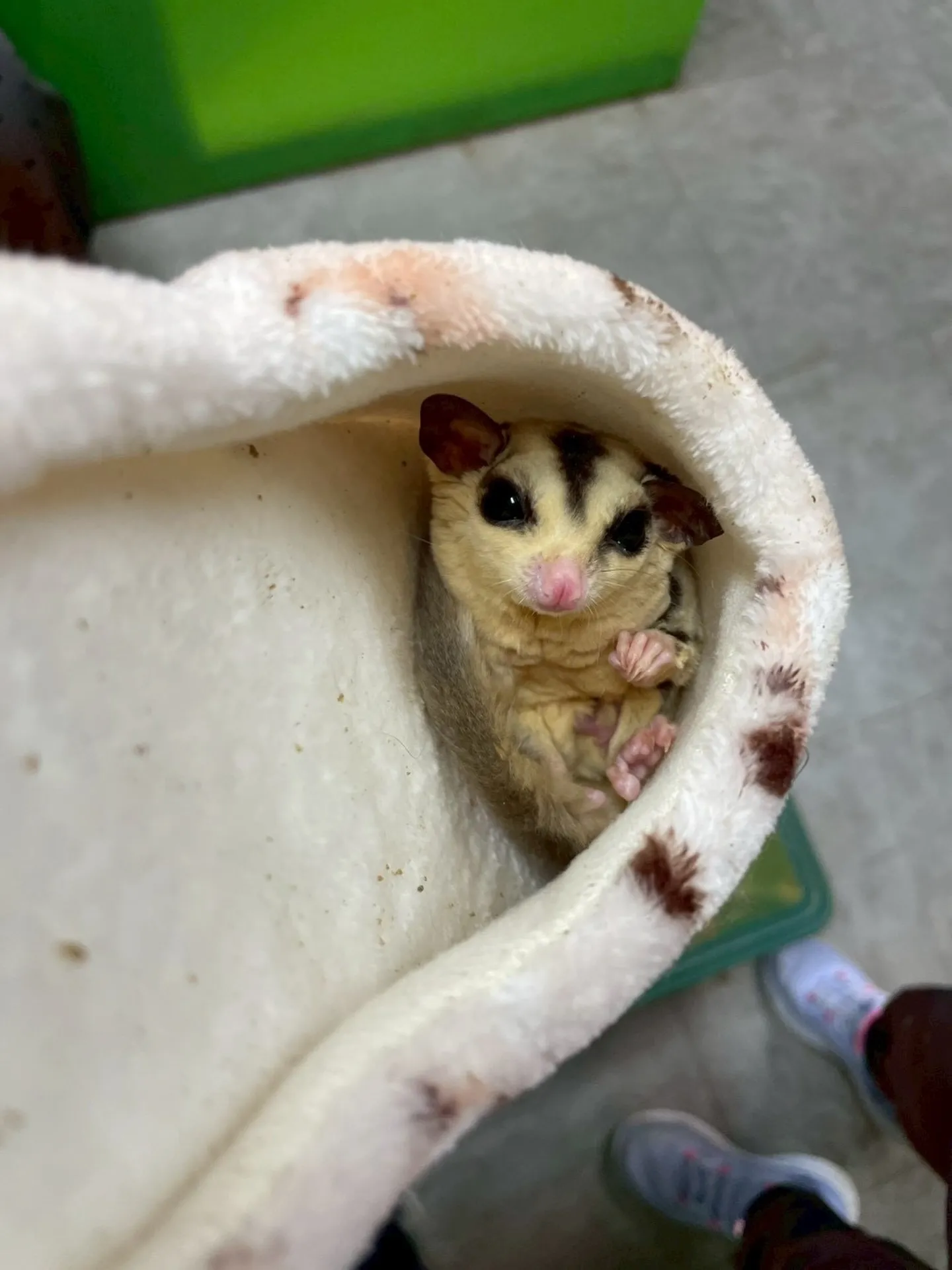 🌧️本日イベント中止のお知らせ🌧️