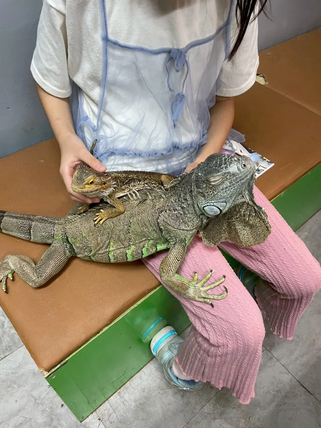 🦎先日のふれあい🐍✨