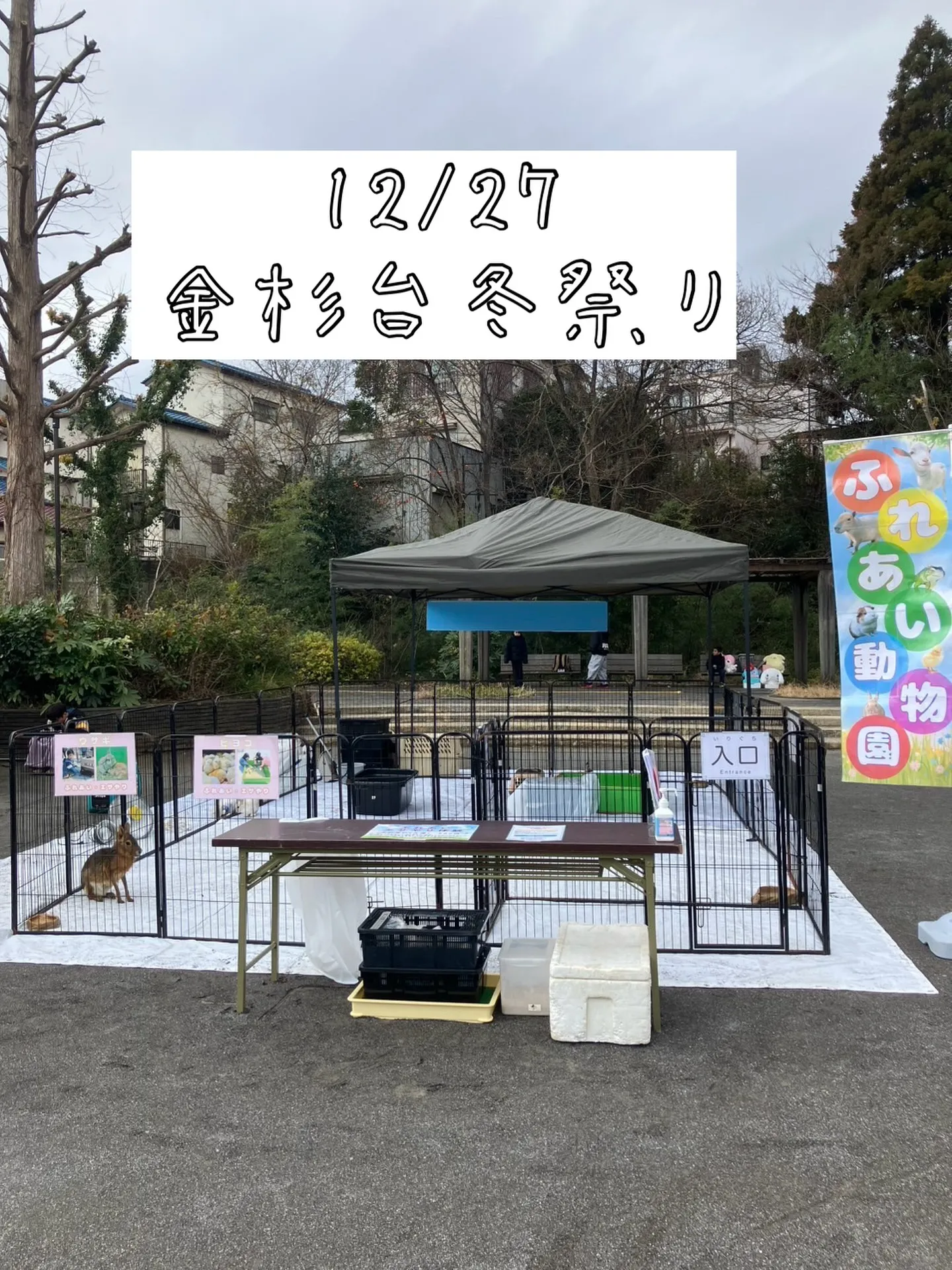 🎄✨本日開催✨🎄