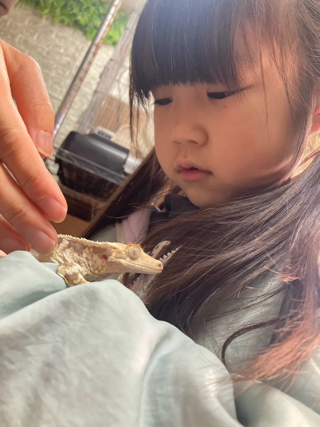 🐍✨1/3のふれあいの様子✨🐍