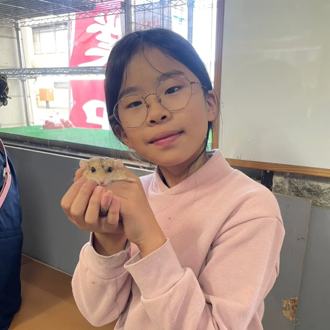 ๐1/4ใฎใตใใใ๐ฟโจ