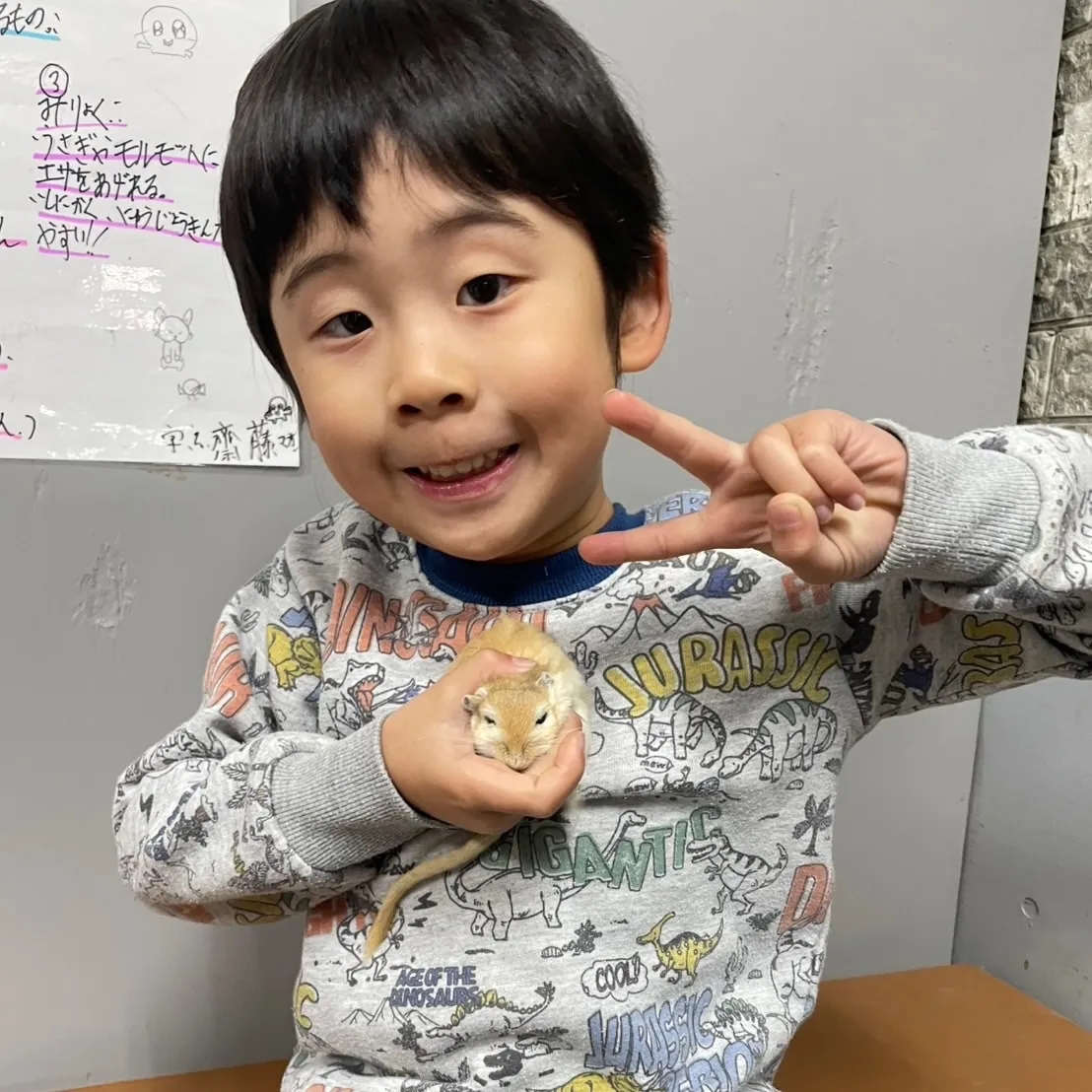 ๐1/4ใฎใตใใใ๐ฟโจ