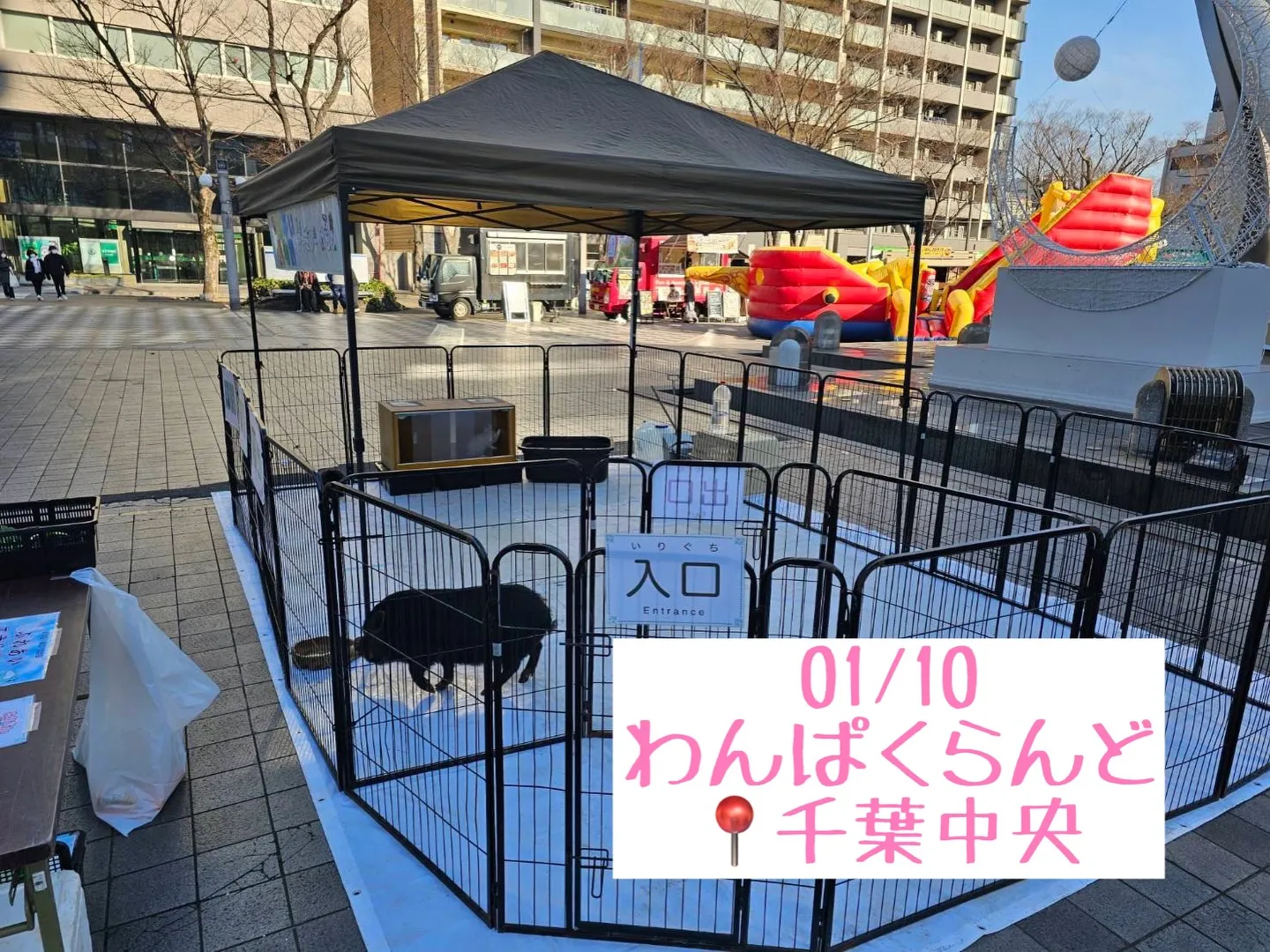 🎈わんぱくらんど 出店中🎈