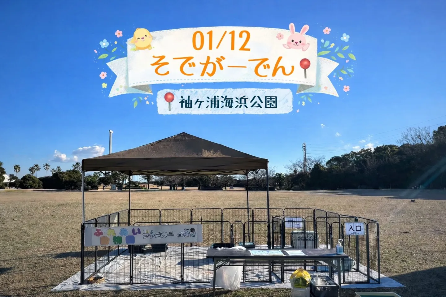 🐾そでがーでん出店中🌿✨