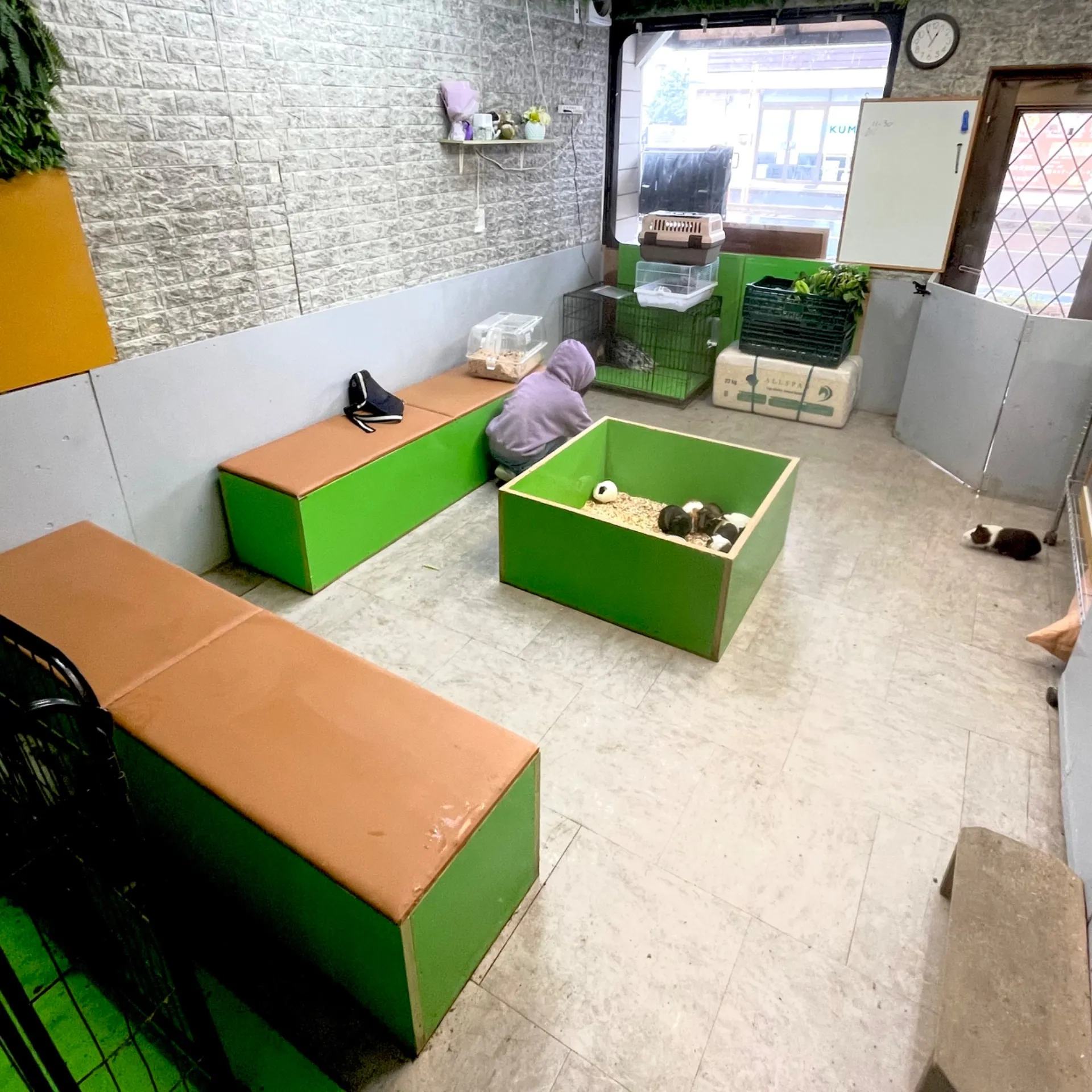 動物と触れ合える千葉県室内型施設で家族の雨の日も楽しく過ごす方法