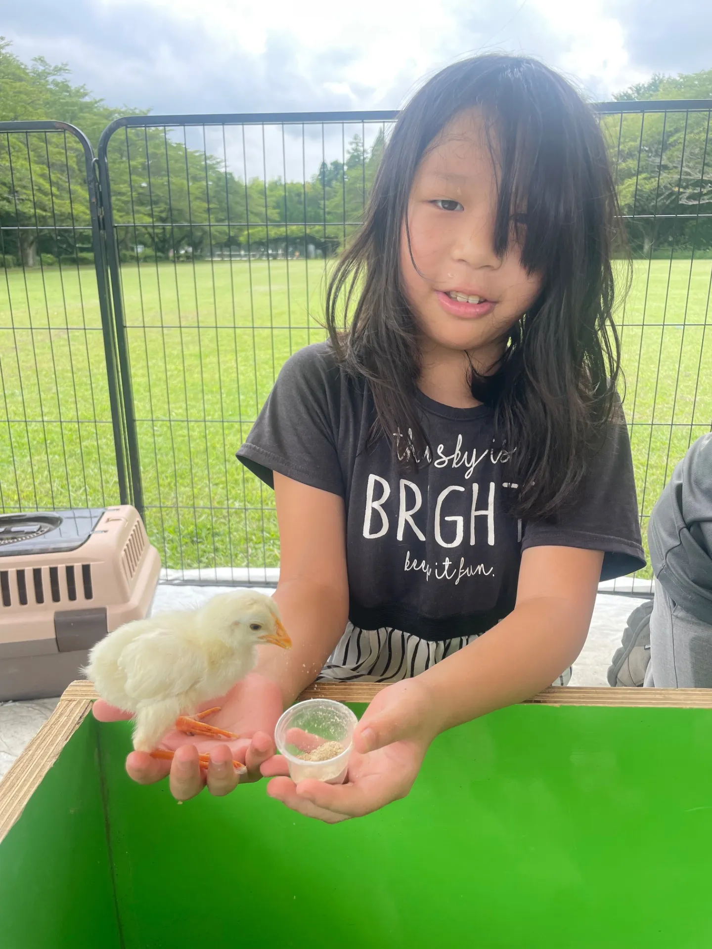 動物と千葉県で体験できる家族向けふれあいスポット徹底ガイド