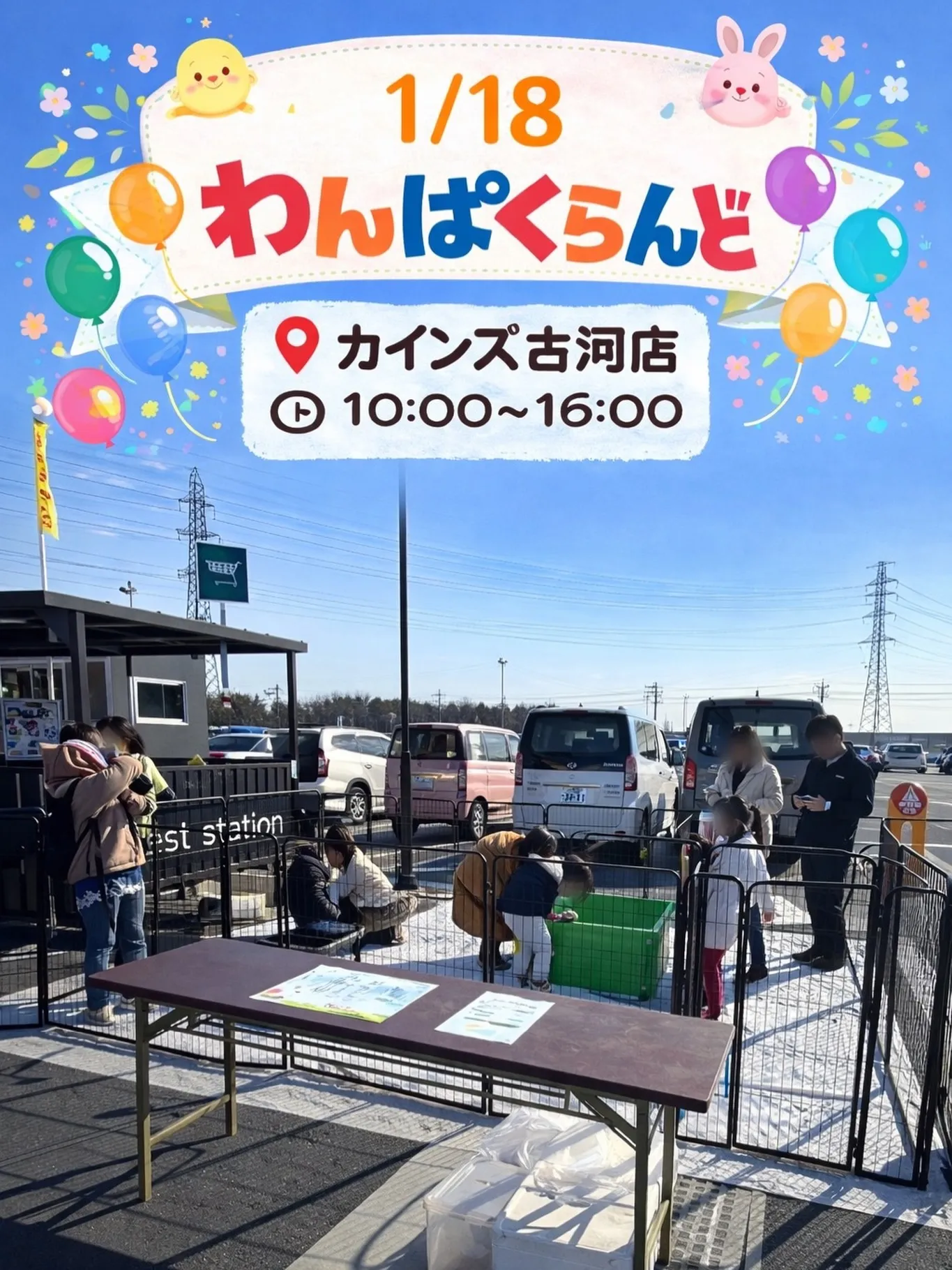 🐾 わんぱくランド 本日も参加中！🐾