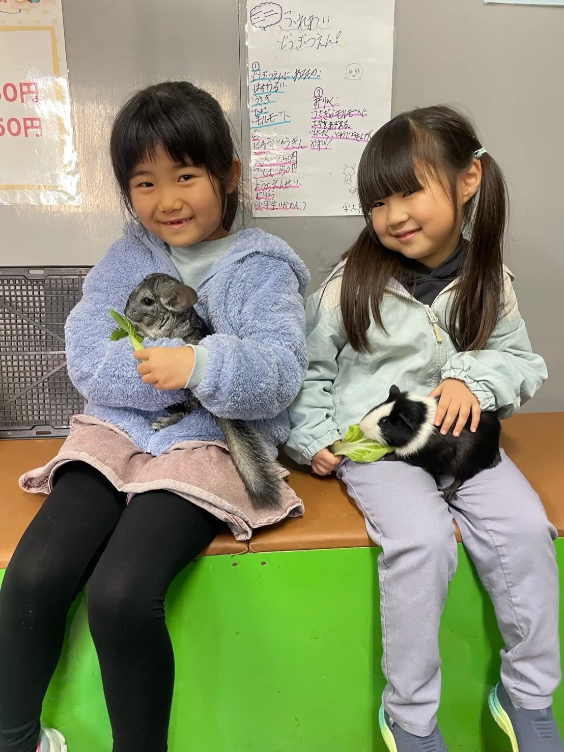 🐰✨ いろんな子たちといっしょに🌿