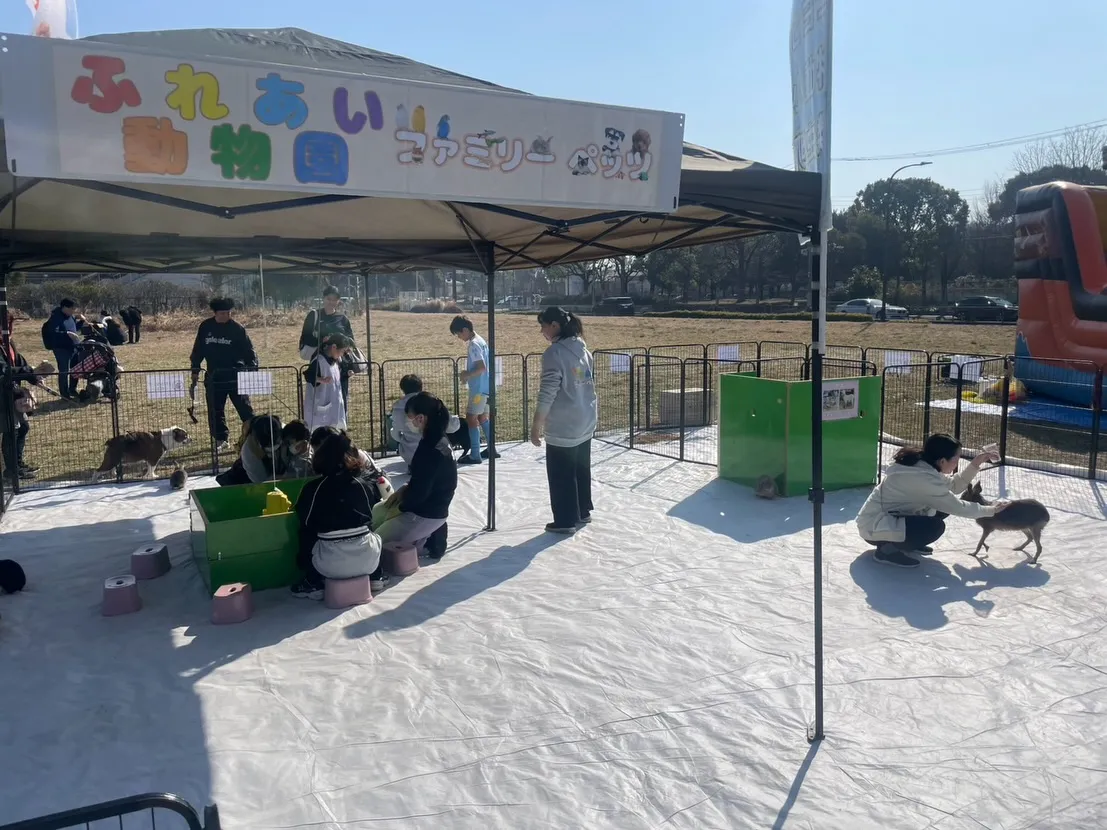 🌊✨ 舎人公園 2日目開催中 ✨🌊
