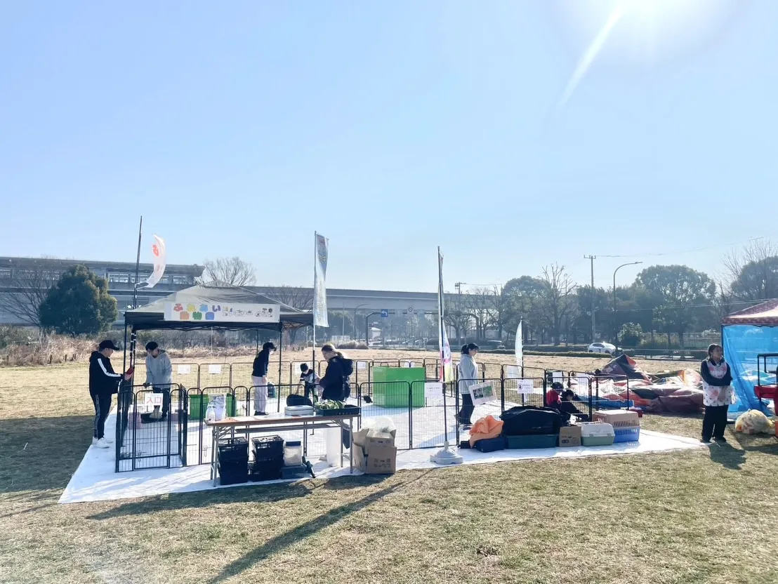 🌊✨ 舎人公園 2日目開催中 ✨🌊