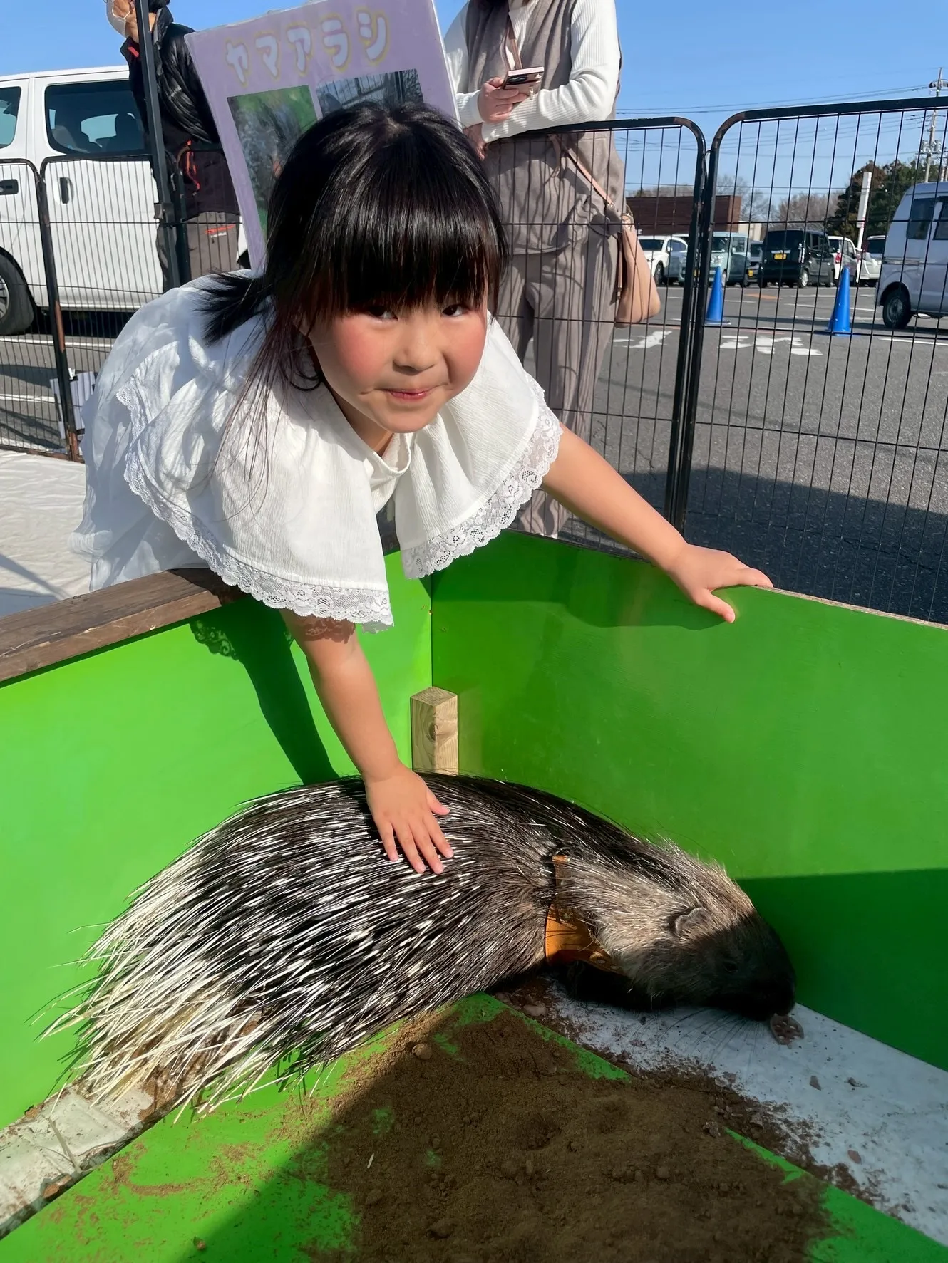 🐰✨ 昨日のふれあいの様子 ✨🐣