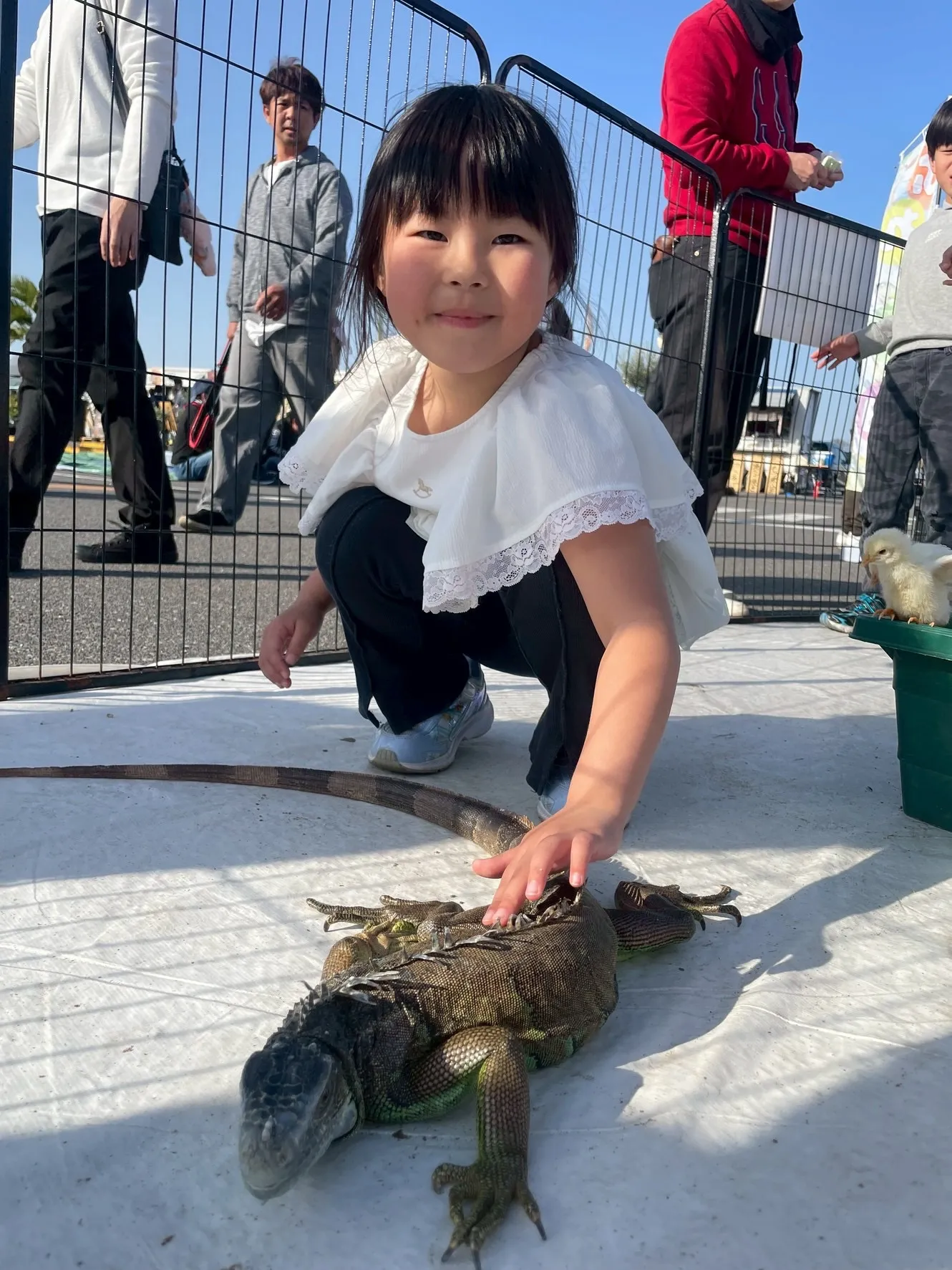 🐰✨ 昨日のふれあいの様子 ✨🐣